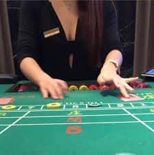 8pgvip